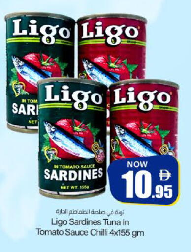 Tomato Chilli available at ميم ساجدة in الإمارات العربية المتحدة , الامارات - ٱلْفُجَيْرَة‎
