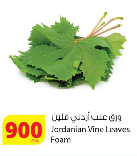 available at Agricultural Food Products Co. in Kuwait - Kuwait City