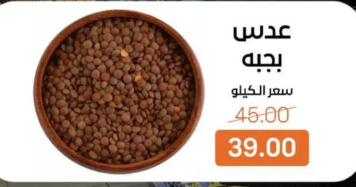 available at Beit El Gomla in Egypt - Cairo