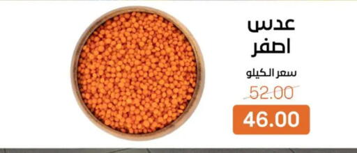 available at Beit El Gomla in Egypt - Cairo
