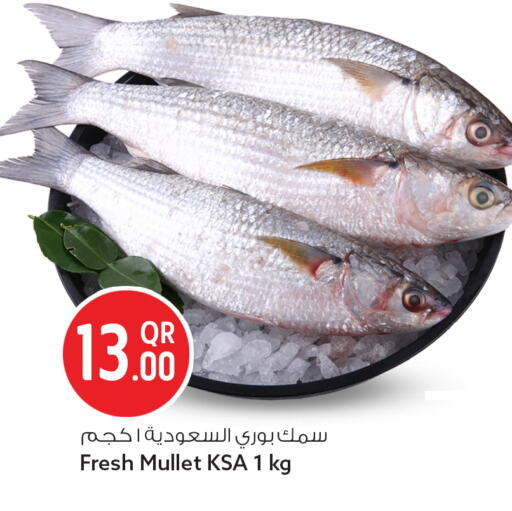 available at Safari Hypermarket in Qatar - Al-Shahaniya