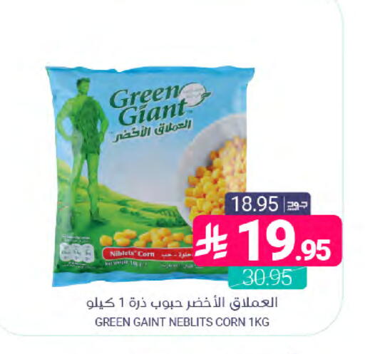 available at Muntazah Markets in KSA, Saudi Arabia, Saudi - Dammam