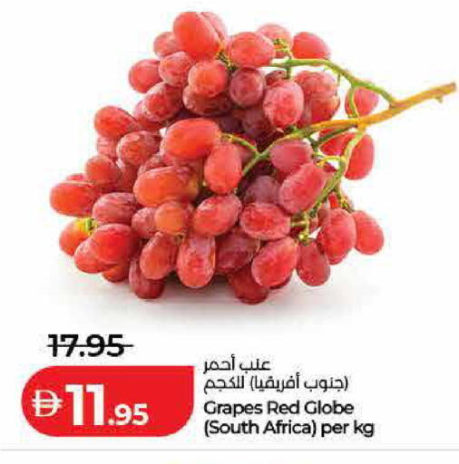 Grapes from South Africa available at Lulu Hypermarket in UAE - Dubai