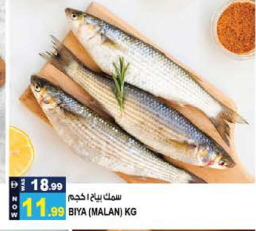 available at هاشم هايبرماركت in الإمارات العربية المتحدة , الامارات - الشارقة / عجمان