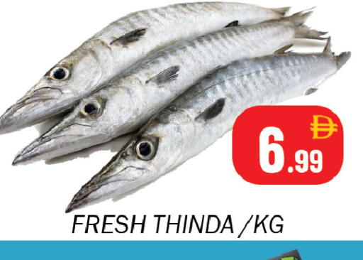 available at سوق المبارك هايبرماركت in الإمارات العربية المتحدة , الامارات - الشارقة / عجمان