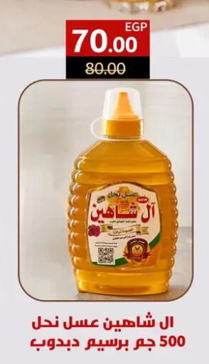available at Wekalet Elmansoura - Dakahlia  in Egypt - Cairo