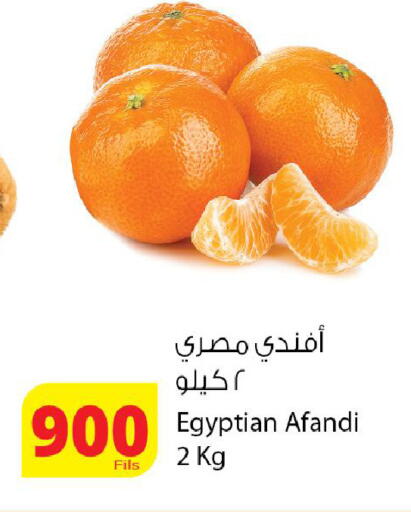from Egypt available at Agricultural Food Products Co. in Kuwait - Kuwait City