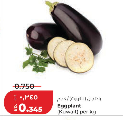 Eggplant from Kuwait available at Lulu Hypermarket  in Kuwait - Kuwait City
