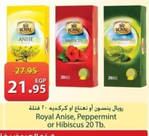 Anise available at سبينس in Egypt - القاهرة