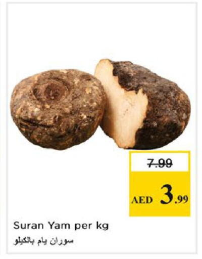 available at Nesto Hypermarket in UAE - Ras al Khaimah