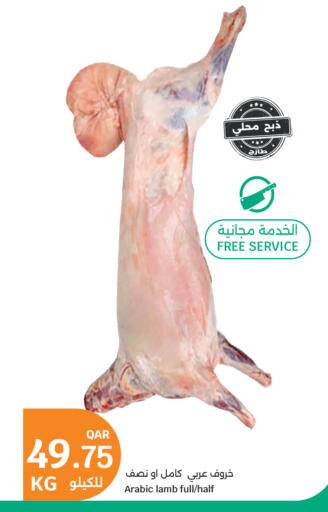 available at سيتي هايبرماركت in قطر - الضعاين