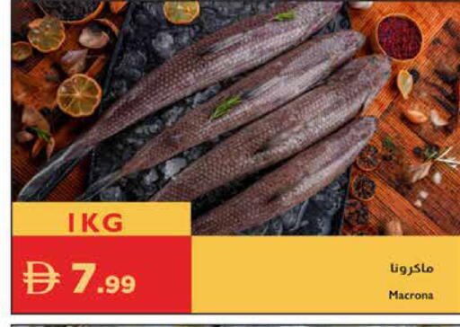 available at Istanbul Supermarket in UAE - Sharjah / Ajman