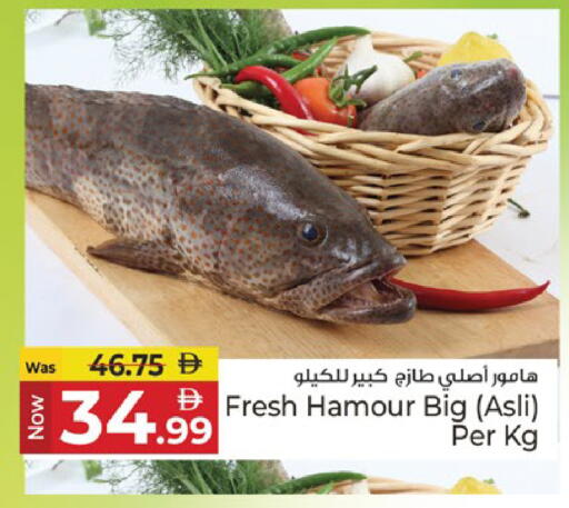available at كنز هايبرماركت in الإمارات العربية المتحدة , الامارات - الشارقة / عجمان