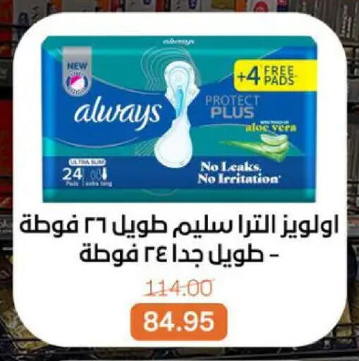 available at بيت الجملة in Egypt - القاهرة