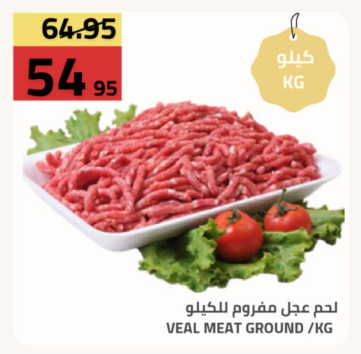 available at أسواق أسترا in مملكة العربية السعودية, السعودية, سعودية - تبوك