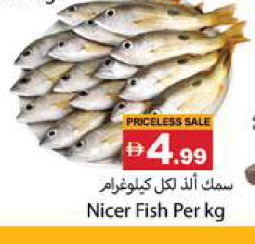 available at Gulf Hypermarket LLC in UAE - Ras al Khaimah