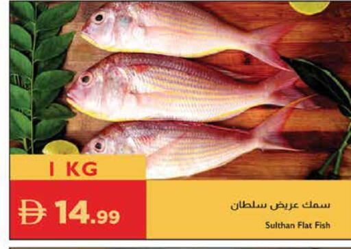 available at Istanbul Supermarket in UAE - Sharjah / Ajman