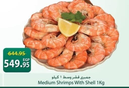 available at سبينس in Egypt - القاهرة