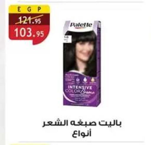 available at Al Rayah Market   in Egypt - Cairo