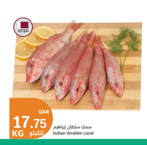 available at City Hypermarket in Qatar - Doha