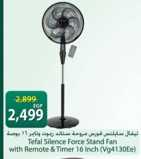 available at سبينس in Egypt - القاهرة