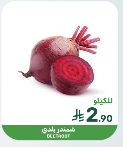 Beetroot available at  مـزايــا in مملكة العربية السعودية, السعودية, سعودية - المنطقة الشرقية