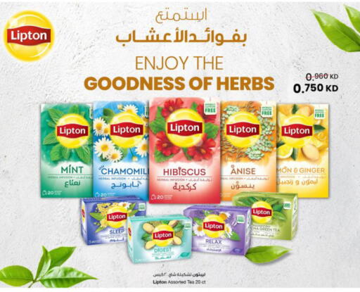Mint Anise Ginger available at The Sultan Center in Kuwait - Kuwait City