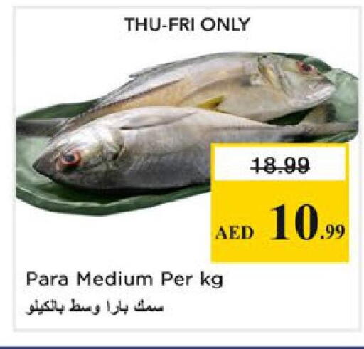 available at نستو هايبرماركت in الإمارات العربية المتحدة , الامارات - رَأْس ٱلْخَيْمَة