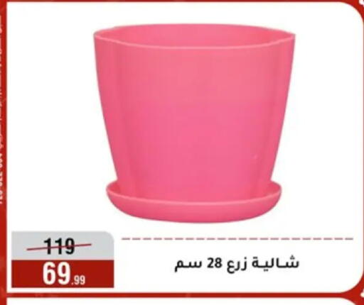 available at Al Morshedy  in Egypt - Cairo