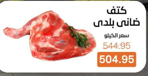 available at بيت الجملة in Egypt - القاهرة