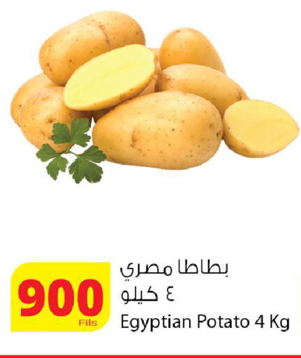 Potato from Egypt available at Agricultural Food Products Co. in Kuwait - Kuwait City