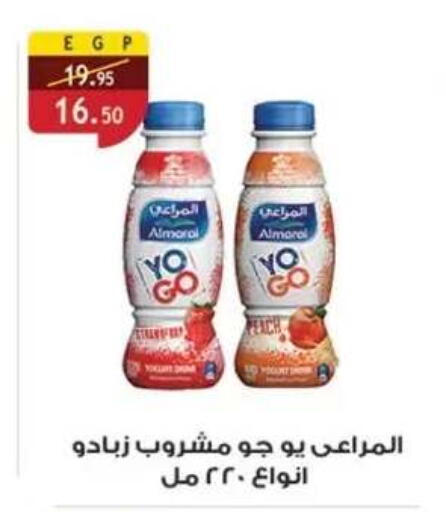 Peach available at Al Rayah Market   in Egypt - Cairo