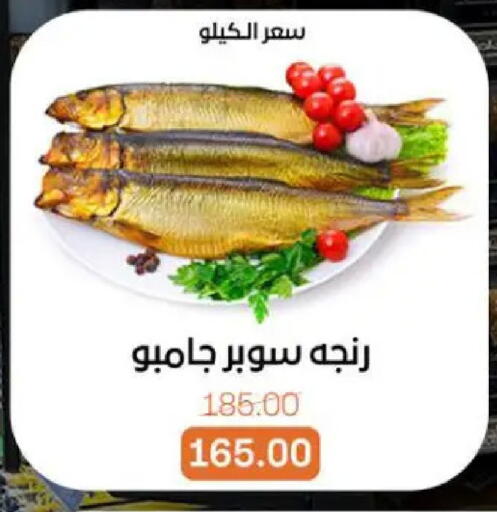 available at بيت الجملة in Egypt - القاهرة