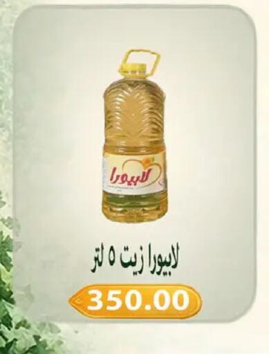 available at Hyper Samy Salama Sons in Egypt - Cairo