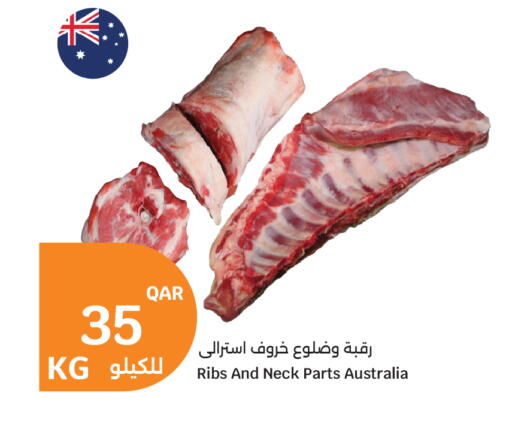 available at سيتي هايبرماركت in قطر - الضعاين