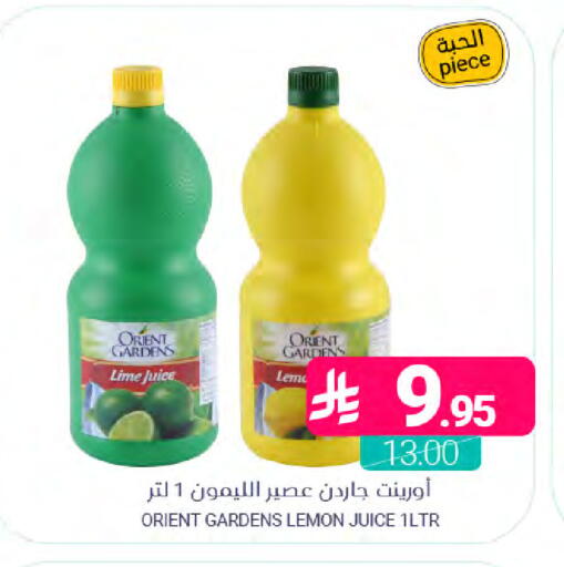 Lemon available at Muntazah Markets in KSA, Saudi Arabia, Saudi - Dammam
