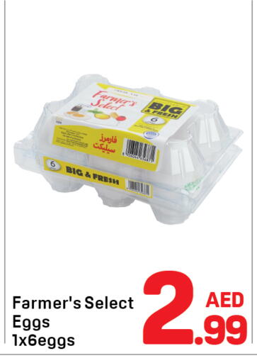 available at دي تو دي in الإمارات العربية المتحدة , الامارات - دبي