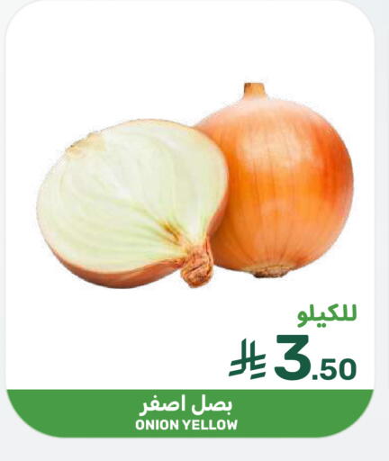 Onion available at  مـزايــا in مملكة العربية السعودية, السعودية, سعودية - المنطقة الشرقية