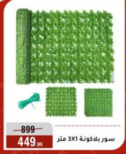 available at المرشدي in Egypt - القاهرة