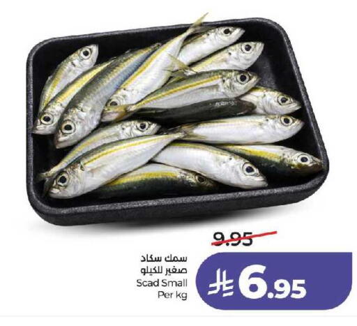 available at لولو هايبرماركت in مملكة العربية السعودية, السعودية, سعودية - جدة