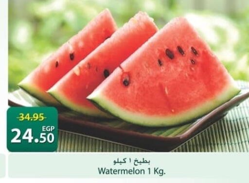 Watermelon available at سبينس in Egypt - القاهرة