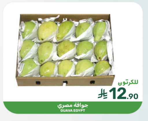 Guava from Egypt available at Mazaya in KSA, Saudi Arabia, Saudi - Dammam