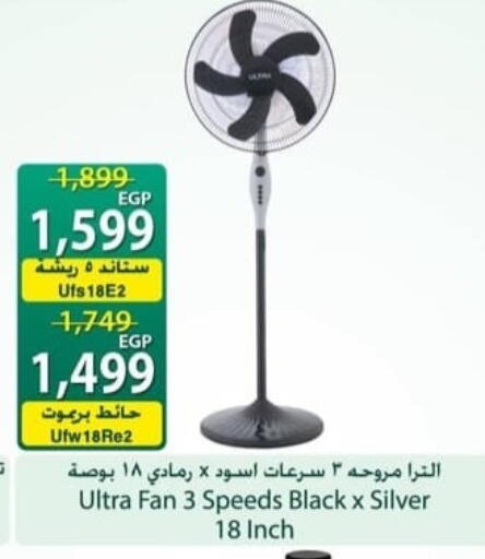 available at سبينس in Egypt - القاهرة