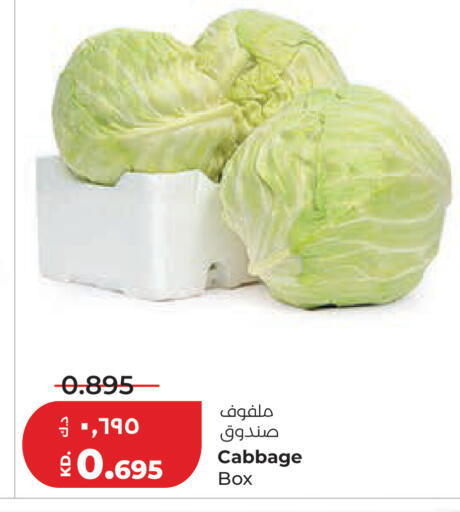 Cabbage available at Lulu Hypermarket  in Kuwait - Kuwait City