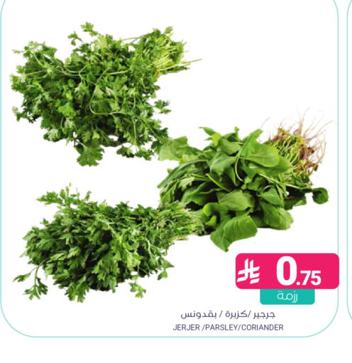 Parsley Coriander available at Muntazah Markets in KSA, Saudi Arabia, Saudi - Dammam