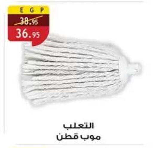 available at Al Rayah Market   in Egypt - Cairo