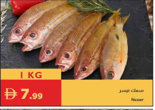 available at إسطنبول سوبرماركت in الإمارات العربية المتحدة , الامارات - رَأْس ٱلْخَيْمَة
