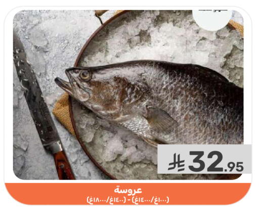 available at Mazaya in KSA, Saudi Arabia, Saudi - Dammam