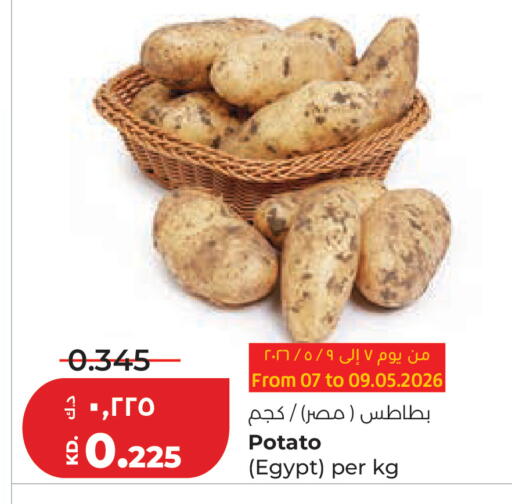 Potato from Egypt available at Lulu Hypermarket  in Kuwait - Kuwait City