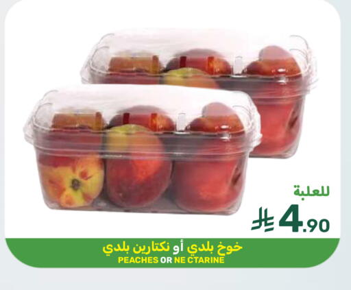 available at Mazaya in KSA, Saudi Arabia, Saudi - Dammam